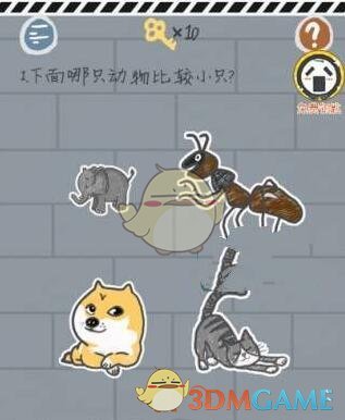 今天，大科技“霸屏”！